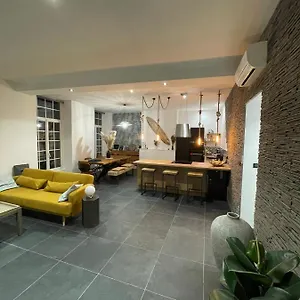 110m2 Terrasse Climatisé Quartier Médiéval Clermont-Ferrand